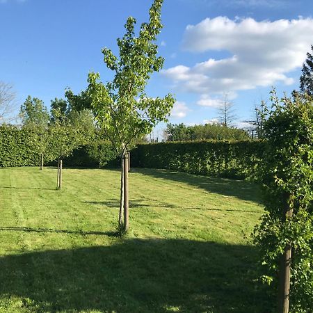 The Suite Escape Suite Wood Sint-Lievens-Houtem ภายนอก รูปภาพ