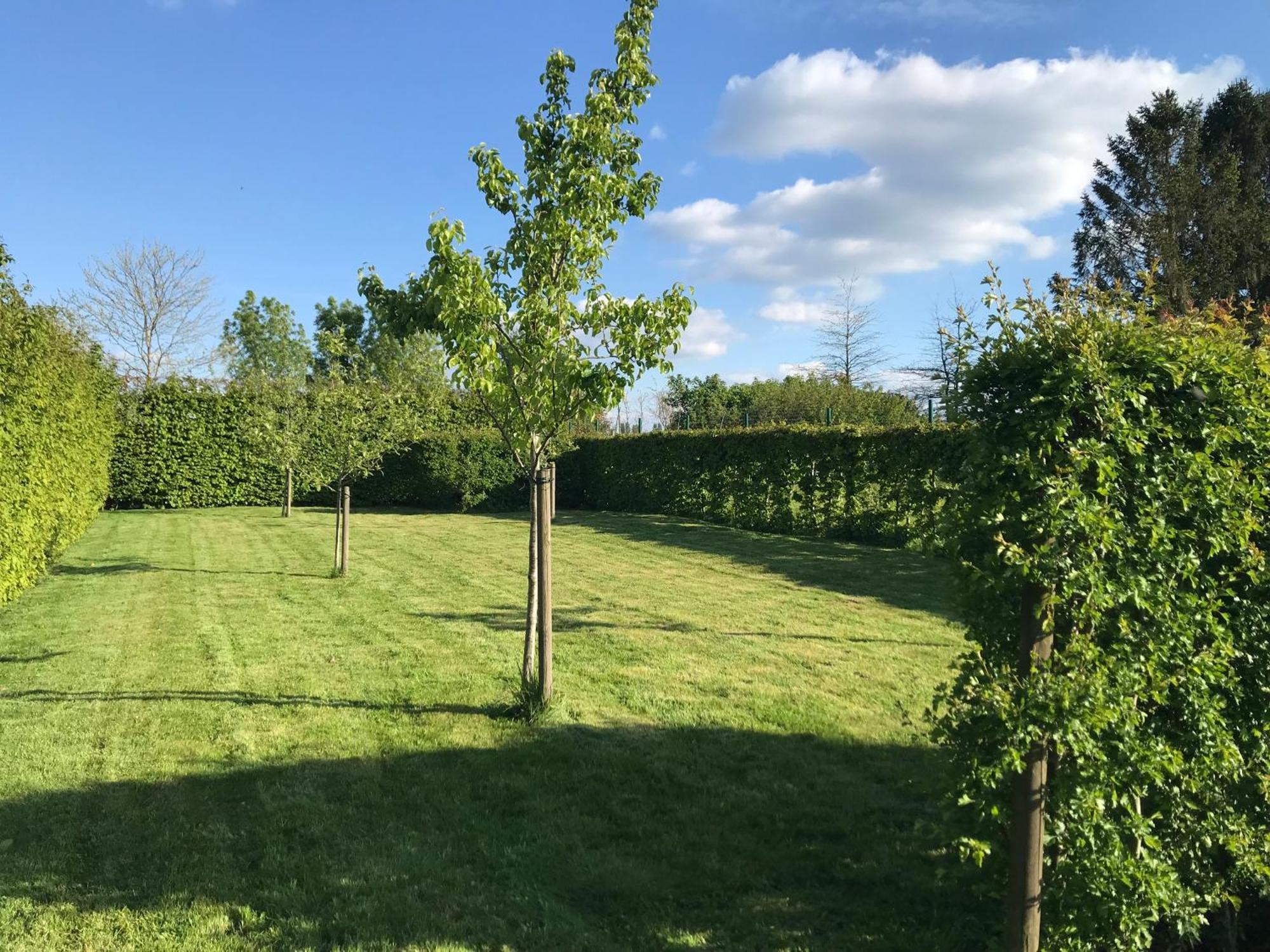 The Suite Escape Suite Wood Sint-Lievens-Houtem ภายนอก รูปภาพ